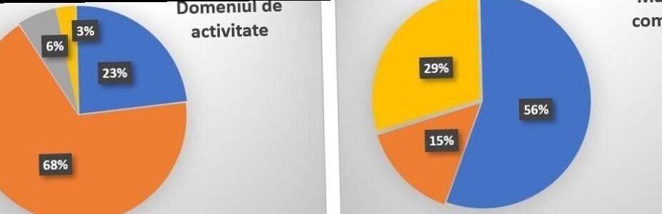 The opinions of Romanian entrepreneurs on the use of a CRM |