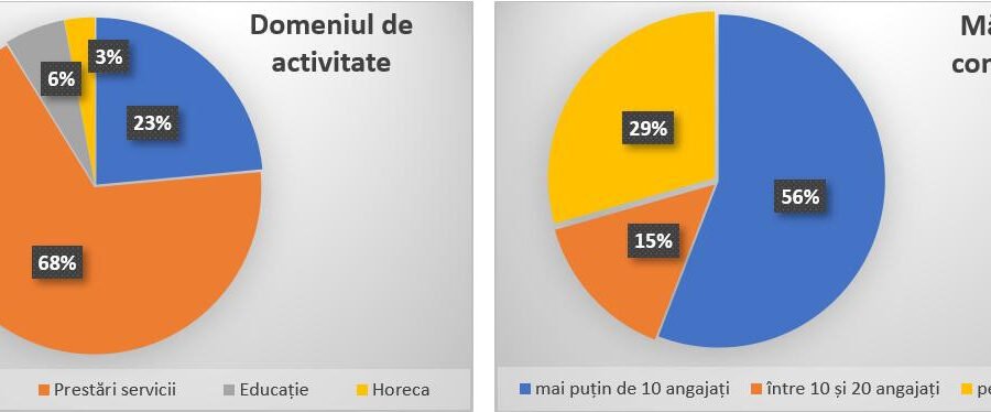The opinions of Romanian entrepreneurs on the use of a CRM |