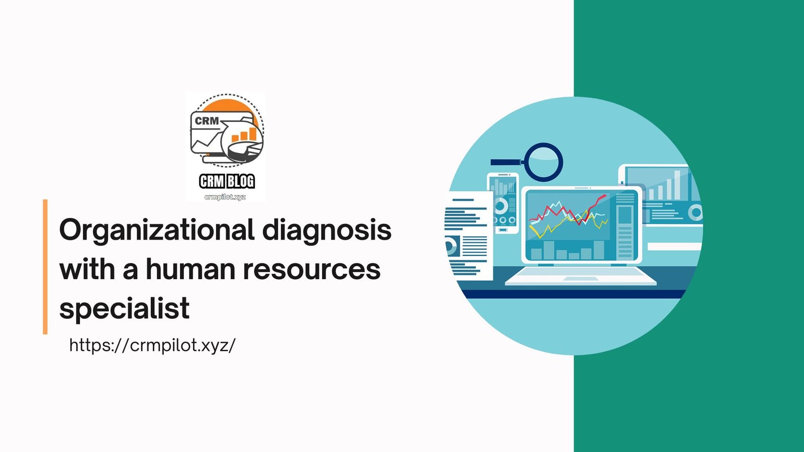 Organizational diagnosis with a human resources specialist