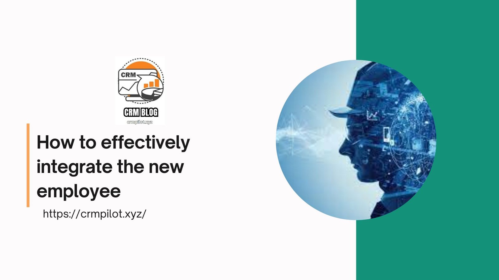 How to effectively integrate the new employee and contribute to the success of the team
